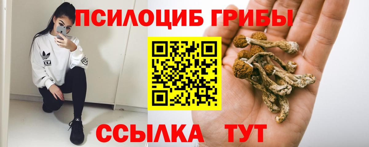 Псилоцибиновые грибы ЛСД Фрязино